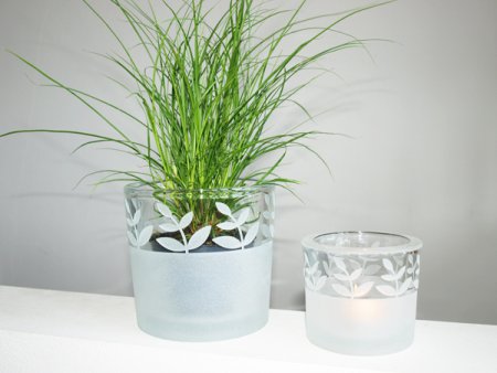 Windlicht / Vase BL
